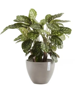 Ecopots Blumentöpfe & Übertöpfe - Kunststoff-Topf Antwerp, rund Taupe