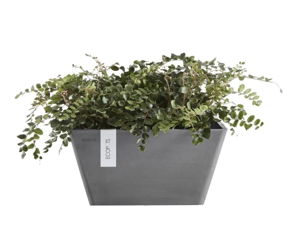 Ecopots Blumentöpfe & Übertöpfe > Kunststoff-Topf Berlin, quadratisch