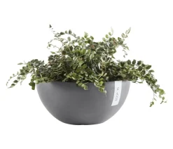 Ecopots Blumenampeln & -Schalen|Blumentöpfe & Übertöpfe > Kunststoff-Topf Brussels, rund