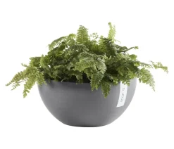 Ecopots Blumenampeln & -Schalen|Blumentöpfe & Übertöpfe > Kunststoff-Topf Brussels, rund