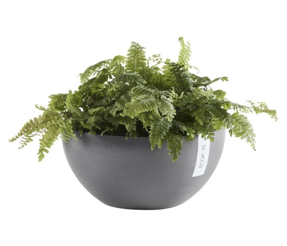 Ecopots Blumenampeln & -Schalen|Blumentöpfe & Übertöpfe > Kunststoff-Topf Brussels, rund