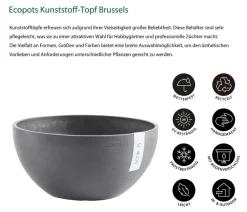 Ecopots Blumenampeln & -Schalen|Blumentöpfe & Übertöpfe > Kunststoff-Topf Brussels, rund