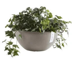Ecopots Blumenampeln & -Schalen|Blumentöpfe & Übertöpfe > Kunststoff-Topf Brussels, rund