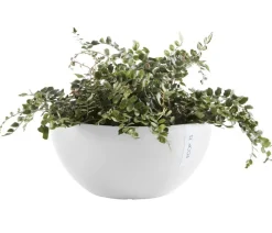 Ecopots Blumenampeln & -Schalen|Blumentöpfe & Übertöpfe > Kunststoff-Topf Brussels, rund