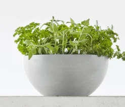 Ecopots Kunststoff-Topf Brussels, rund Hellgrau Outlet