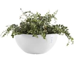 Ecopots Kunststoff-Topf Brussels, rund Weiß Discount