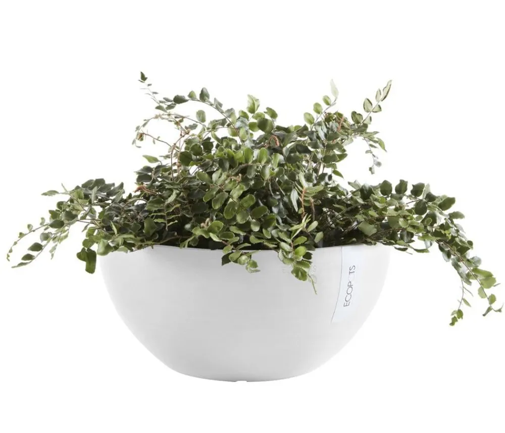 Ecopots Blumenampeln & -Schalen|Blumentöpfe & Übertöpfe - Kunststoff-Topf Brussels, rund Weiß