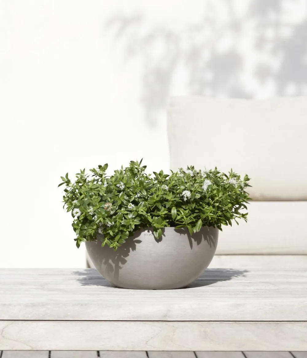 Ecopots Blumenampeln & -Schalen|Blumentöpfe & Übertöpfe - Kunststoff-Topf Brussels, rund Taupe
