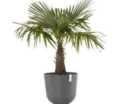 Ecopots Blumentöpfe & Übertöpfe - Kunststoff-Topf Oslo, rund Grau