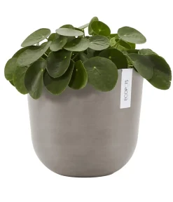 Ecopots Blumentöpfe & Übertöpfe > Kunststoff-Topf Oslo, rund