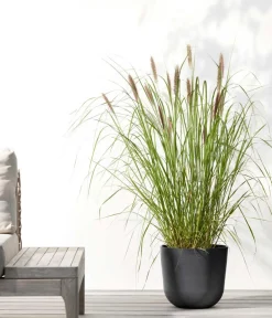 Ecopots Blumentöpfe & Übertöpfe - Kunststoff-Topf Oslo, rund Dunkelgrau