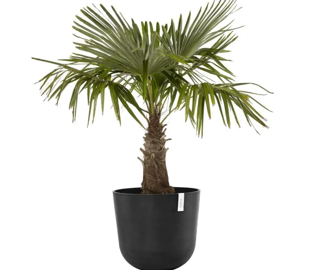 Ecopots Kunststoff-Topf Oslo, rund Dunkelgrau Sale