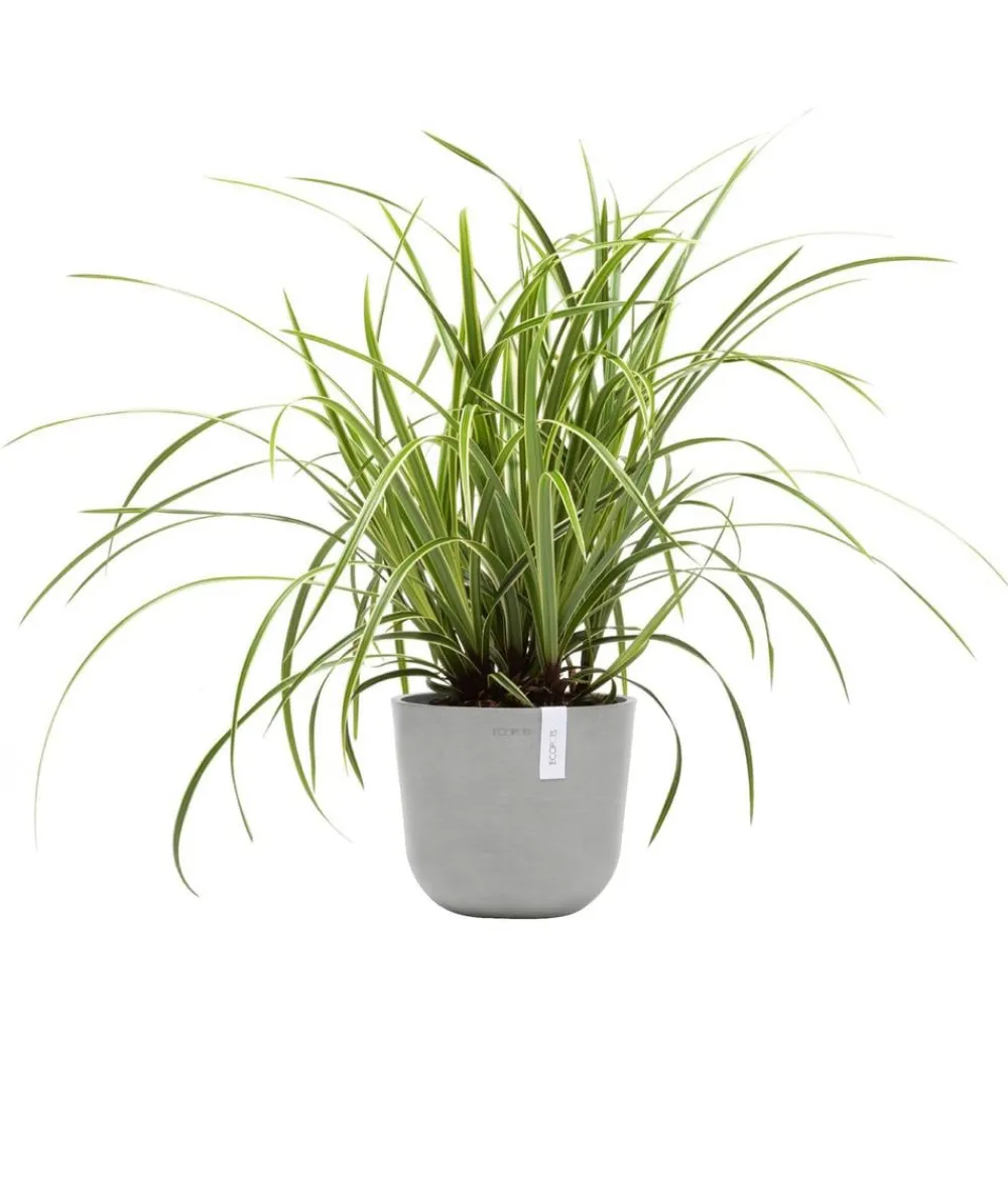 Ecopots Blumentöpfe & Übertöpfe > Kunststoff-Topf Oslo Mini, rund