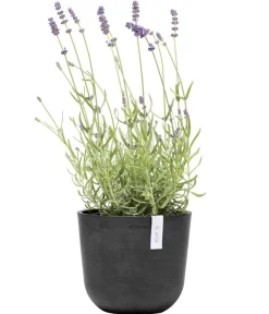 Ecopots Blumentöpfe & Übertöpfe - Kunststoff-Topf Oslo Mini, rund Taupe