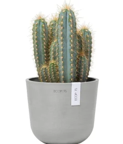 Ecopots Blumentöpfe & Übertöpfe - Kunststoff-Topf Oslo Mini, rund Hellgrau