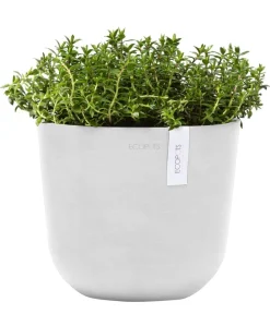 Ecopots Blumentöpfe & Übertöpfe - Kunststoff-Topf Oslo Mini, rund Weiß