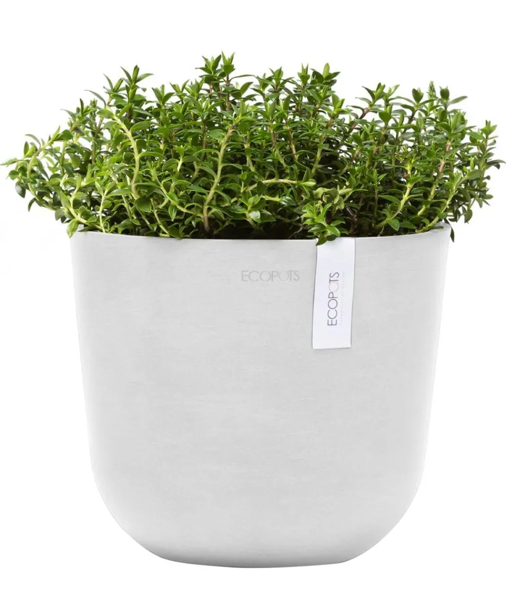 Ecopots Blumentöpfe & Übertöpfe - Kunststoff-Topf Oslo Mini, rund Weiß