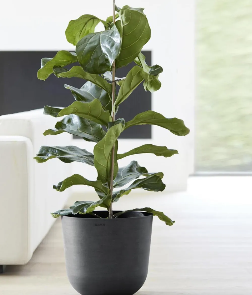 Ecopots Blumentöpfe & Übertöpfe > Kunststoff-Topf Oslo mit Wassersystem, rund
