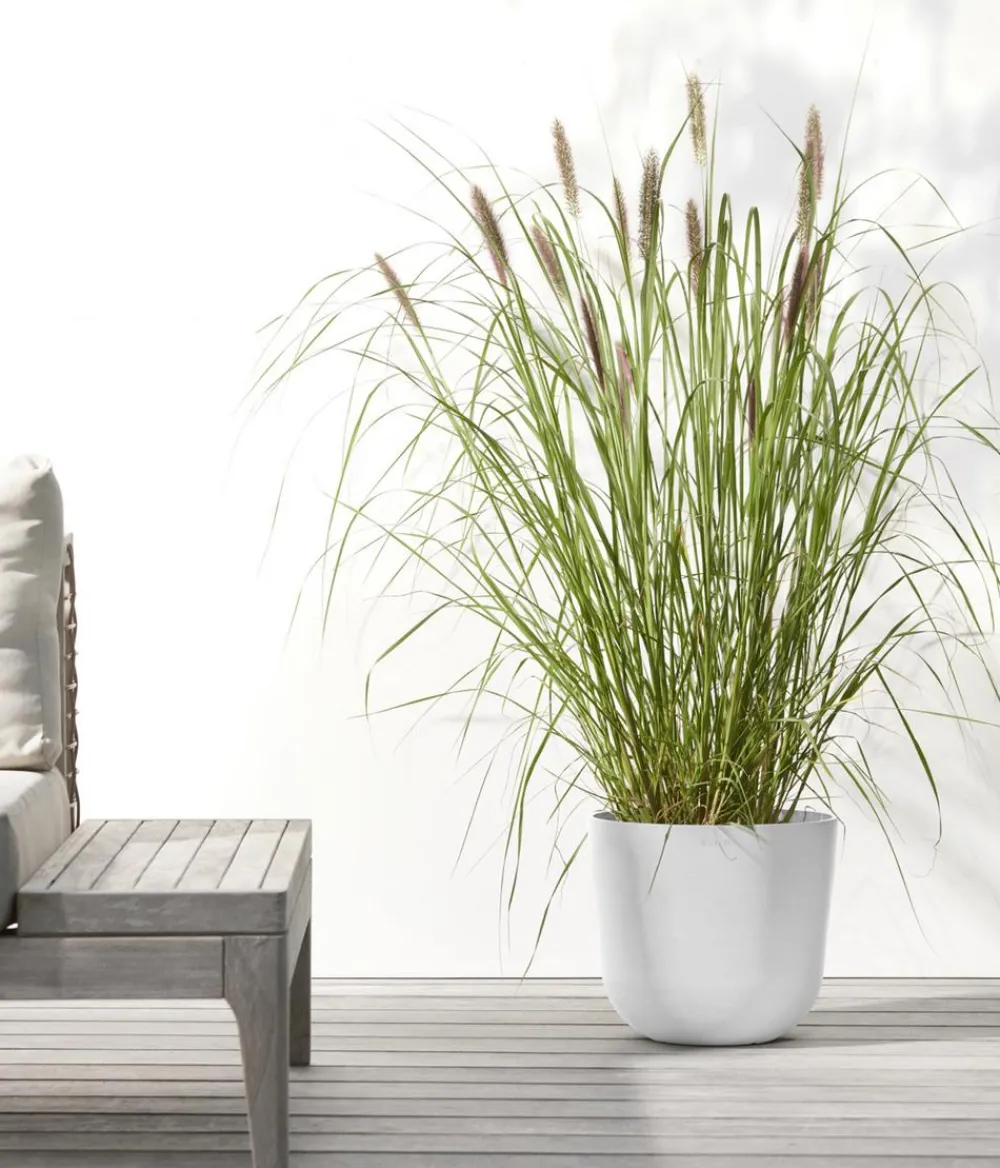 Ecopots Blumentöpfe & Übertöpfe > Kunststoff-Topf Oslo mit Wassersystem, rund