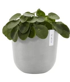 Ecopots Kunststoff-Topf Oslo mit Wassersystem, rund Hellgrau Outlet