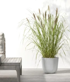 Ecopots Kunststoff-Topf Oslo mit Wassersystem, rund Hellgrau Outlet