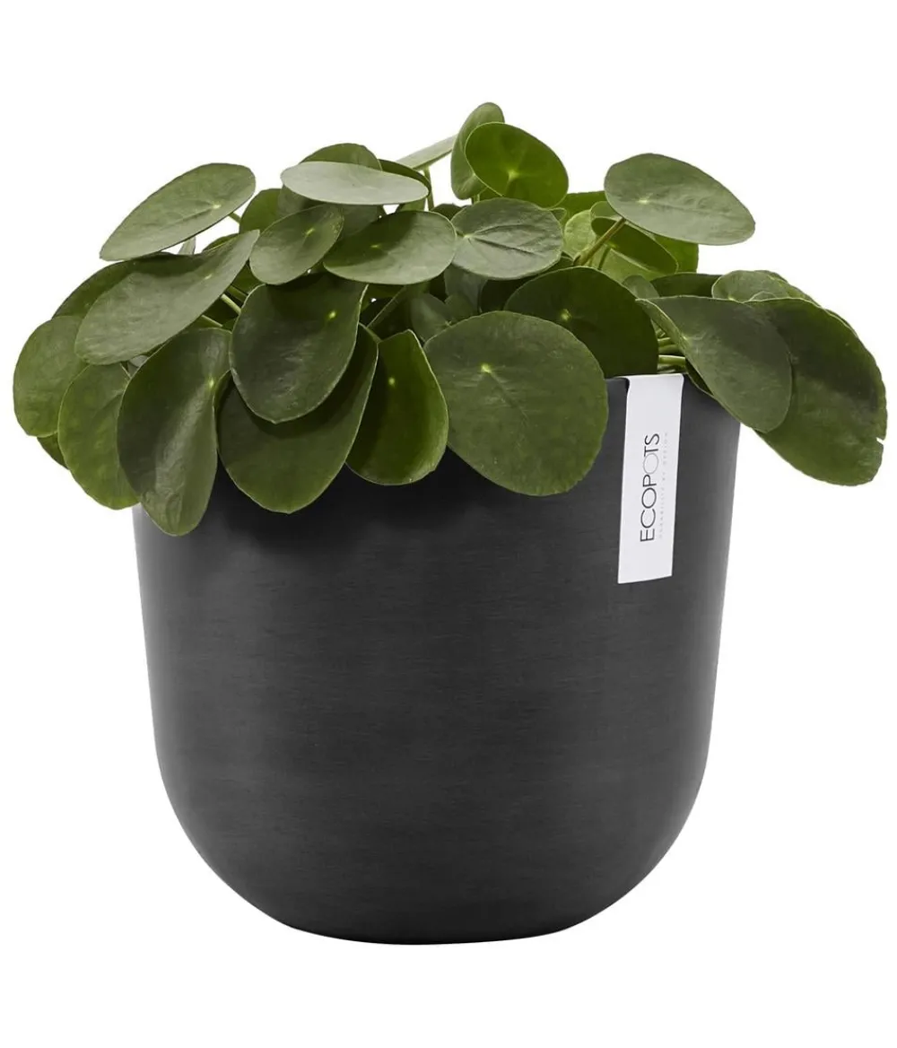 Ecopots Kunststoff-Topf Oslo mit Wassersystem, rund Dunkelgrau Clearance