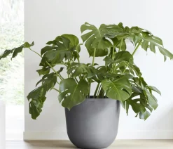 Ecopots Blumentöpfe & Übertöpfe - Kunststoff-Topf Oslo mit Wassersystem, rund Grau