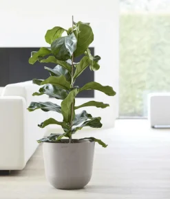 Ecopots Blumentöpfe & Übertöpfe - Kunststoff-Topf Oslo mit Wassersystem, rund Taupe