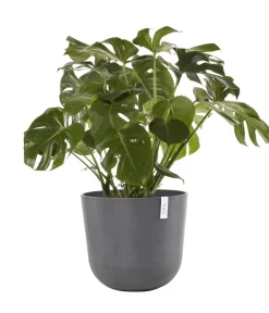 Ecopots Blumentöpfe & Übertöpfe - Kunststoff-Topf Oslo mit Wassersystem, rund Grau