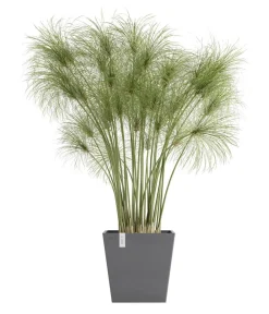 Ecopots Blumentöpfe & Übertöpfe > Kunststoff-Topf Rotterdam mit Wassersystem, quadratisch