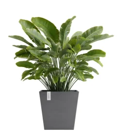 Ecopots Kunststoff-Topf Rotterdam mit Wassersystem, quadratisch Grau Clearance
