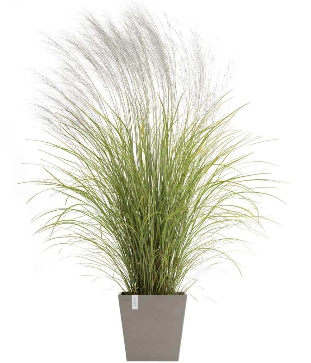 Ecopots Kunststoff-Topf Rotterdam mit Wassersystem, quadratisch Taupe Online