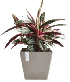 Ecopots Blumentöpfe & Übertöpfe > Kunststoff-Topf Rotterdam, quadratisch