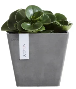 Ecopots Blumentöpfe & Übertöpfe > Kunststoff-Topf Rotterdam, quadratisch
