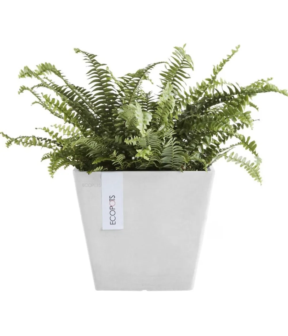 Ecopots Blumentöpfe & Übertöpfe > Kunststoff-Topf Rotterdam, quadratisch