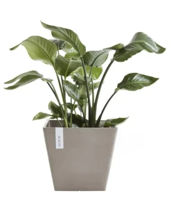 Ecopots Kunststoff-Topf Rotterdam, quadratisch Taupe Outlet