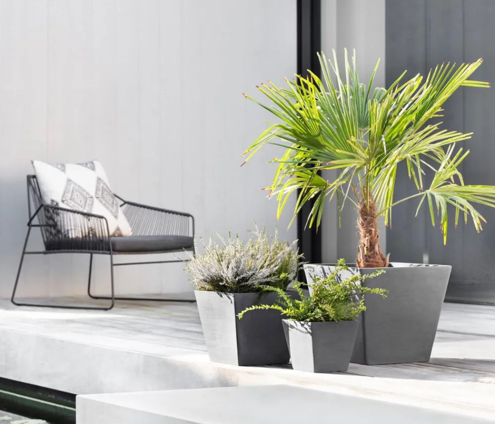 Ecopots Kunststoff-Topf Rotterdam, quadratisch Grau Sale