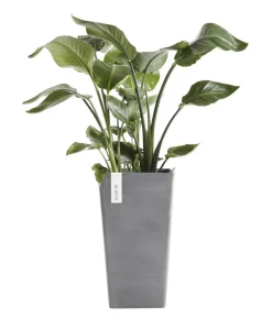 Ecopots Vasen|Blumentöpfe & Übertöpfe > Kunststoff-Topf Rotterdam Hoch, quadratisch
