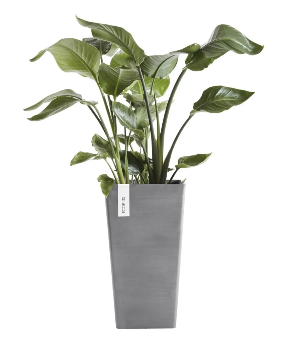 Ecopots Vasen|Blumentöpfe & Übertöpfe > Kunststoff-Topf Rotterdam Hoch, quadratisch