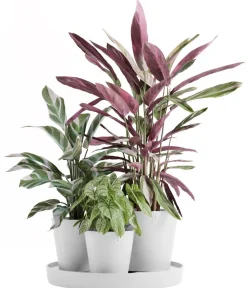 Ecopots Blumentöpfe & Übertöpfe > Kunststoff-Topf-Set Dubai mit Untersetzer, 4-teilig