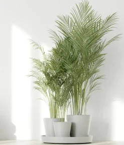 Ecopots Blumentöpfe & Übertöpfe > Kunststoff-Topf-Set Dubai mit Untersetzer, 4-teilig