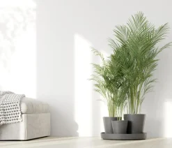 Ecopots Kunststoff-Topf-Set Dubai mit Untersetzer, 4-teilig Grau