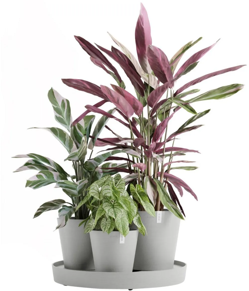 Ecopots Kunststoff-Topf-Set Dubai mit Untersetzer, 4-teilig Hellgrau Best