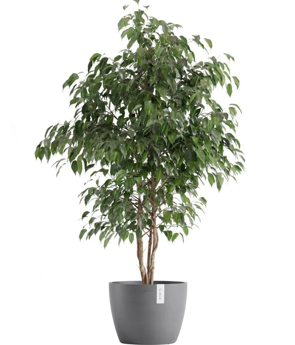 Ecopots Blumentöpfe & Übertöpfe > Kunststoff-Topf Stockholm, rund