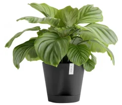 Ecopots Blumentöpfe & Übertöpfe > Kunststoff-Topf Venice 2, rund