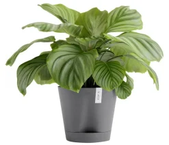 Ecopots Blumentöpfe & Übertöpfe - Kunststoff-Topf Venice 2, rund Grau