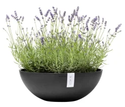 Ecopots Pflanzkübel & Blumenkästen > Kunststoff-Topf Vienna, oval
