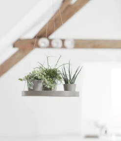 Ecopots Blumentopf Untersetzer|Blumenampeln & -Schalen > Kunststoff-Untersetzer hängend, rund, ca. Ø36/H3 cm