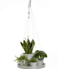 Ecopots Blumentopf Untersetzer|Blumenampeln & -Schalen > Kunststoff-Untersetzer hängend, rund, ca. Ø36/H3 cm