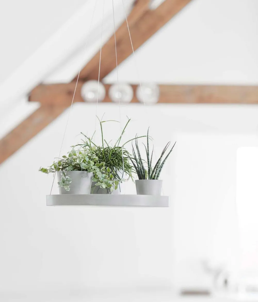 Ecopots Blumentopf Untersetzer|Blumenampeln & -Schalen > Kunststoff-Untersetzer hängend, rund, ca. Ø36/H3 cm